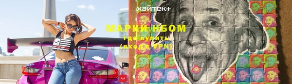 шишки Белоозёрский