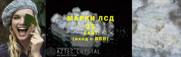 шишки Белоозёрский