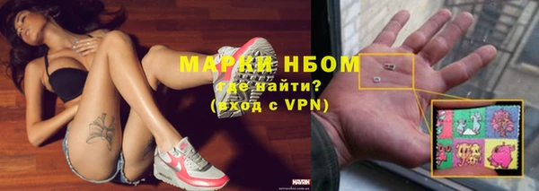 шишки Белоозёрский