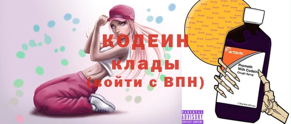шишки Белоозёрский
