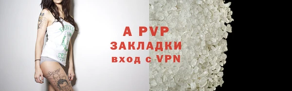 spice Беломорск