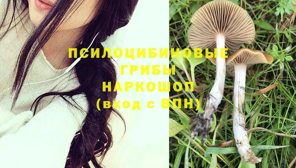 spice Беломорск