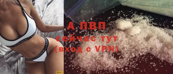 шишки Белоозёрский