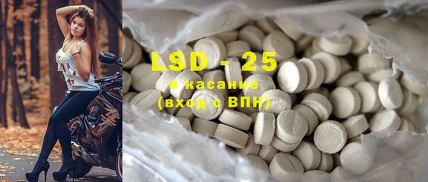 шишки Белоозёрский