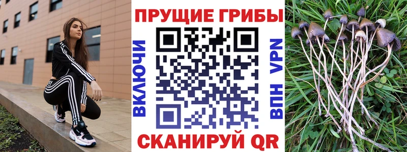 Псилоцибиновые грибы MAGIC MUSHROOMS Белозерск